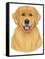 Golden Retriever Portrait-Tomoyo Pitcher-Framed Stretched Canvas