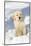 Golden Retriever Pup in snow, Holland, Massachusetts, USA-Lynn M.Stone-Mounted Photographic Print