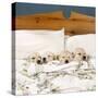 Golden Retriever Puppies, 4 in a Bed-null-Stretched Canvas