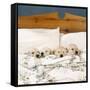 Golden Retriever Puppies, 4 in a Bed-null-Framed Stretched Canvas