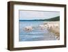 Golden Retriever Puppies At The Sea-ots-photo-Framed Photographic Print