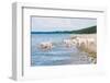 Golden Retriever Puppies At The Sea-ots-photo-Framed Photographic Print