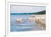 Golden Retriever Puppies At The Sea-ots-photo-Framed Photographic Print