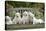 Golden Retriever Puppies on Garden Bench 7 Weeks-null-Stretched Canvas