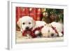 Golden Retriever Puppies under Chirstmas Tree-null-Framed Photographic Print