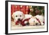 Golden Retriever Puppies under Chirstmas Tree-null-Framed Photographic Print