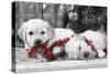 Golden Retriever Puppies under Christmas Tree-null-Stretched Canvas