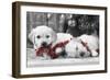 Golden Retriever Puppies under Christmas Tree-null-Framed Photographic Print