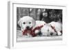 Golden Retriever Puppies under Christmas Tree-null-Framed Photographic Print