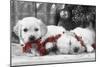 Golden Retriever Puppies under Christmas Tree-null-Mounted Photographic Print