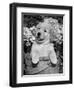 Golden Retriever Puppy in Bucket (Canis Familiaris) Illinois, USA-Lynn M. Stone-Framed Premium Photographic Print