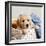 Golden Retriever Puppy in Laundry Basket-null-Framed Photographic Print