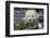 Golden Retriever Puppy (Male, 7 Weeks), La Fox, Illinois, USA-Lynn M^ Stone-Framed Photographic Print