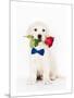 Golden Retriever Puppy & Rose-null-Mounted Art Print