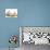 Golden Retriever Puppy Sleeping Between Two Young Sandy Lop Rabbits-Jane Burton-Photographic Print displayed on a wall