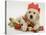 Golden Retriever Puppy with Christmas Crackers Wearing Paper Hat-Jane Burton-Stretched Canvas