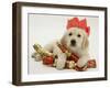 Golden Retriever Puppy with Christmas Crackers Wearing Paper Hat-Jane Burton-Framed Photographic Print