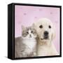 Golden Retriever Puppy with Kitten with Pink Hearts-null-Framed Stretched Canvas