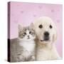 Golden Retriever Puppy with Kitten with Pink Hearts-null-Stretched Canvas