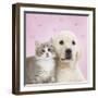 Golden Retriever Puppy with Kitten with Pink Hearts-null-Framed Photographic Print