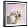 Golden Retriever Puppy with Kitten with Pink Hearts-null-Framed Photographic Print