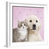 Golden Retriever Puppy with Kitten with Pink Hearts-null-Framed Photographic Print