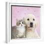 Golden Retriever Puppy with Kitten with Pink Hearts-null-Framed Photographic Print