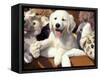 Golden Retriever Puppy with Toys-Lynn M. Stone-Framed Stretched Canvas