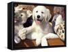 Golden Retriever Puppy with Toys-Lynn M. Stone-Framed Stretched Canvas