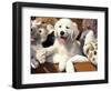 Golden Retriever Puppy with Toys-Lynn M. Stone-Framed Premium Photographic Print