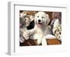 Golden Retriever Puppy with Toys-Lynn M. Stone-Framed Premium Photographic Print