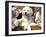 Golden Retriever Puppy with Toys-Lynn M. Stone-Framed Photographic Print