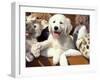 Golden Retriever Puppy with Toys-Lynn M. Stone-Framed Photographic Print