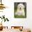 Golden Retriever Puppy-Jim Craigmyle-Framed Stretched Canvas displayed on a wall