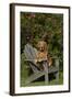 Golden Retriever(S) in Backyard Garden on Old-Lynn M^ Stone-Framed Photographic Print