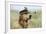 Golden Retriever Wearing Captains Hat Smoking a Pipe-null-Framed Photographic Print