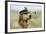 Golden Retriever Wearing Captains Hat Smoking a Pipe-null-Framed Photographic Print