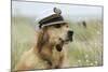 Golden Retriever Wearing Captains Hat Smoking a Pipe-null-Mounted Photographic Print