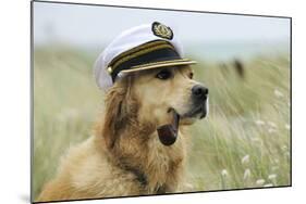 Golden Retriever Wearing Captains Hat Smoking a Pipe-null-Mounted Photographic Print