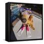 Golden Retriever Wearing Scuba Gear-DLILLC-Framed Stretched Canvas