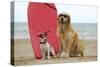 Golden Retriever Wearing Sunglasses and Jack-null-Stretched Canvas