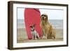 Golden Retriever Wearing Sunglasses and Jack-null-Framed Photographic Print