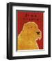 Golden Retriever-John Golden-Framed Giclee Print