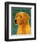 Golden Retriever-John Golden-Framed Giclee Print