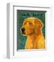 Golden Retriever-John Golden-Framed Giclee Print