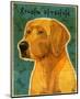 Golden Retriever-John Golden-Mounted Giclee Print