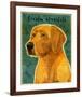 Golden Retriever-John Golden-Framed Giclee Print