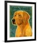 Golden Retriever-John Golden-Framed Giclee Print