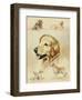 Golden Retriever-Libero Patrignani-Framed Art Print