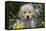 Golden Retriever-Lynn M^ Stone-Framed Stretched Canvas